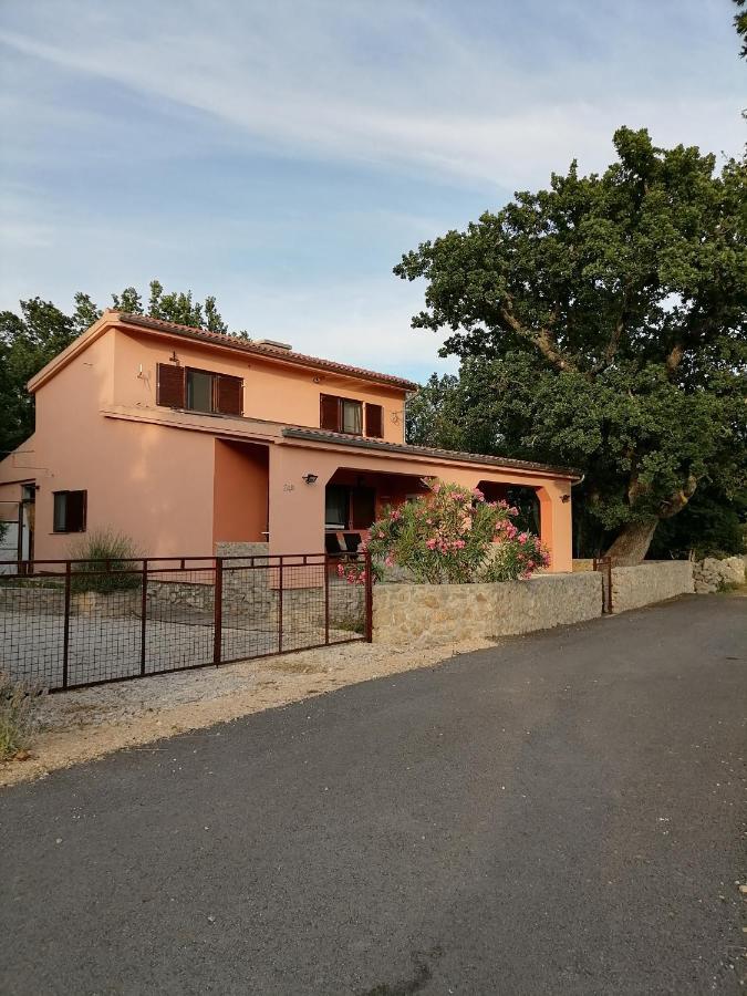 Studio Apartman Hrast Seline Exterior photo