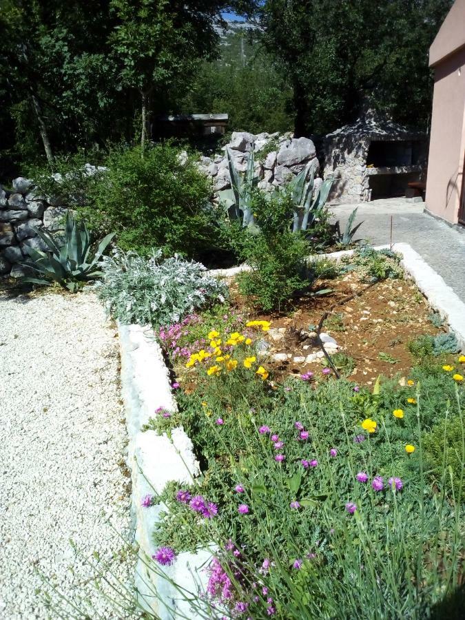 Studio Apartman Hrast Seline Exterior photo